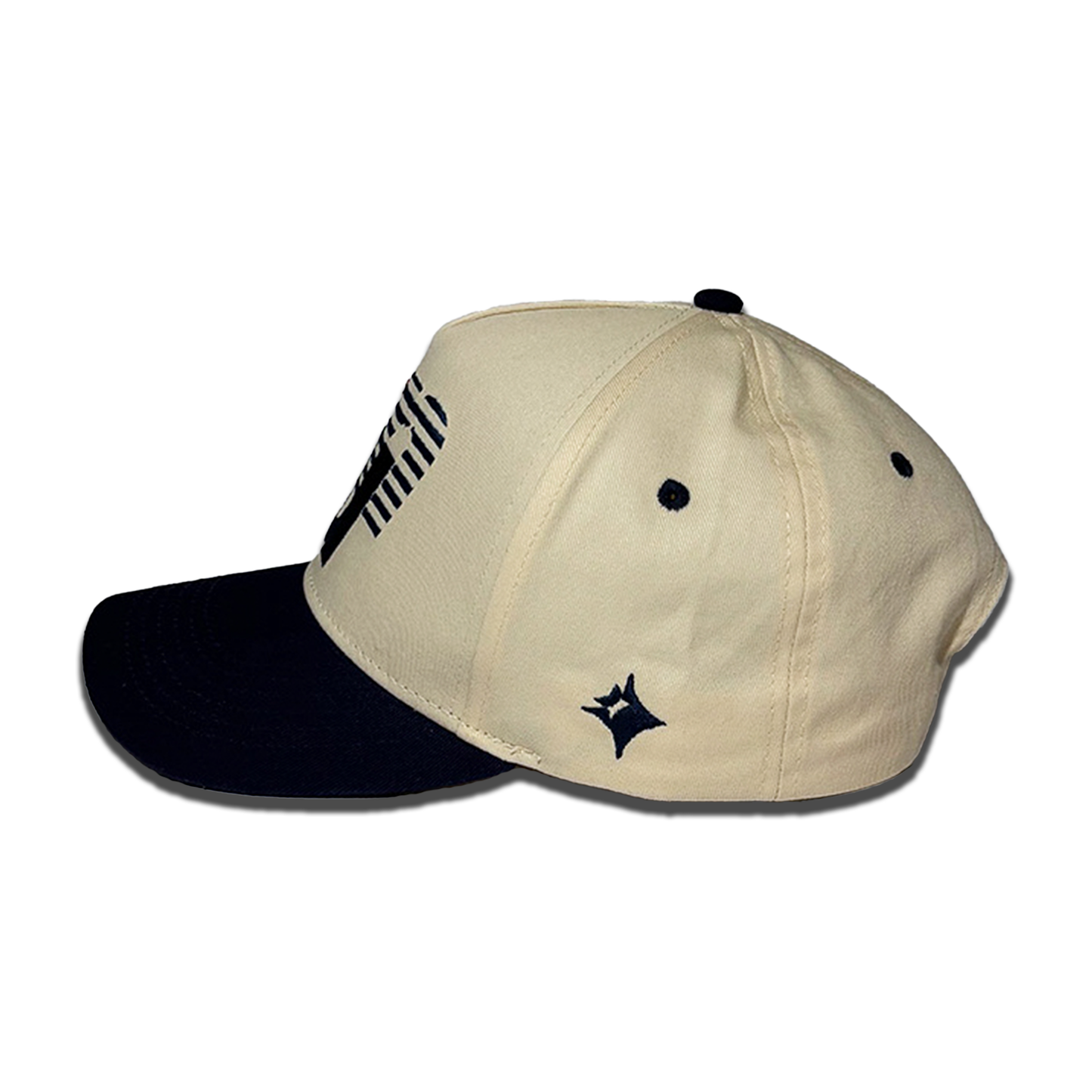 HOUSE CAP - unknownstudios